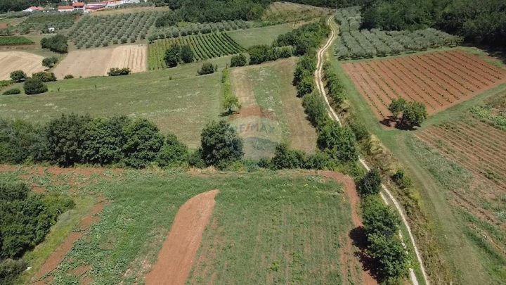 Land for sale 19280 m² – Vižinada