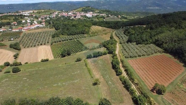 Terrain à vendre 31525 m² – Vižinada