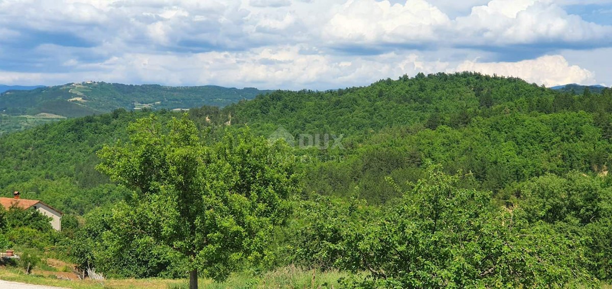 Zemljište Na prodaju - ISTARSKA PAZIN