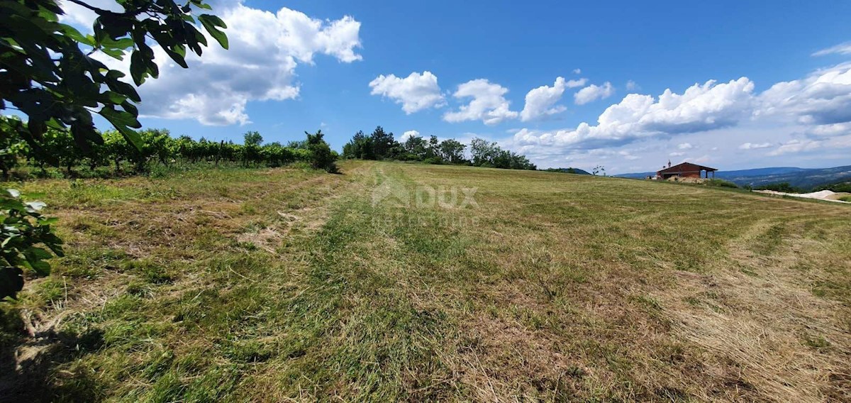 Zemljište Na prodaju - ISTARSKA PAZIN