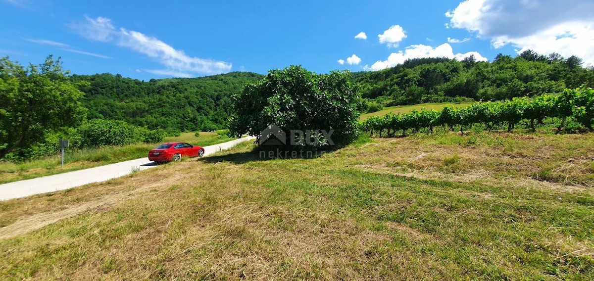 Zemljište Na prodaju - ISTARSKA PAZIN