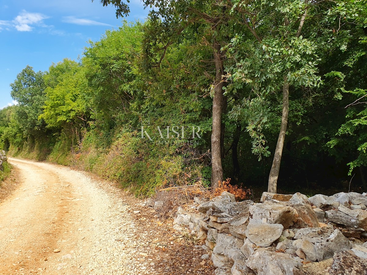 Land For sale - ISTARSKA TAR-VABRIGA