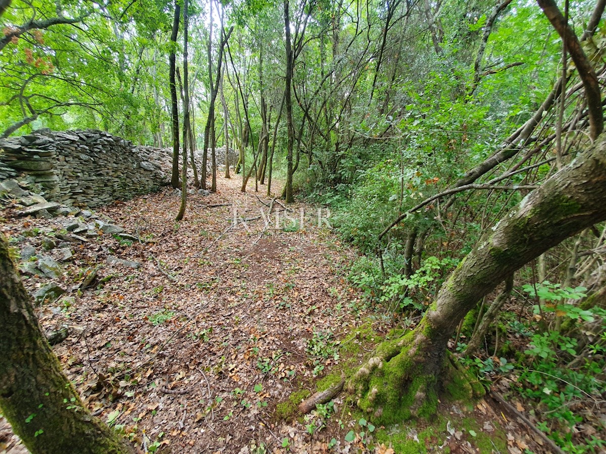 Land For sale - ISTARSKA TAR-VABRIGA