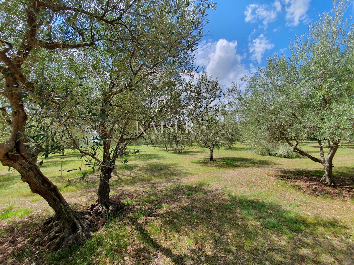 Land For sale - ISTARSKA TAR-VABRIGA