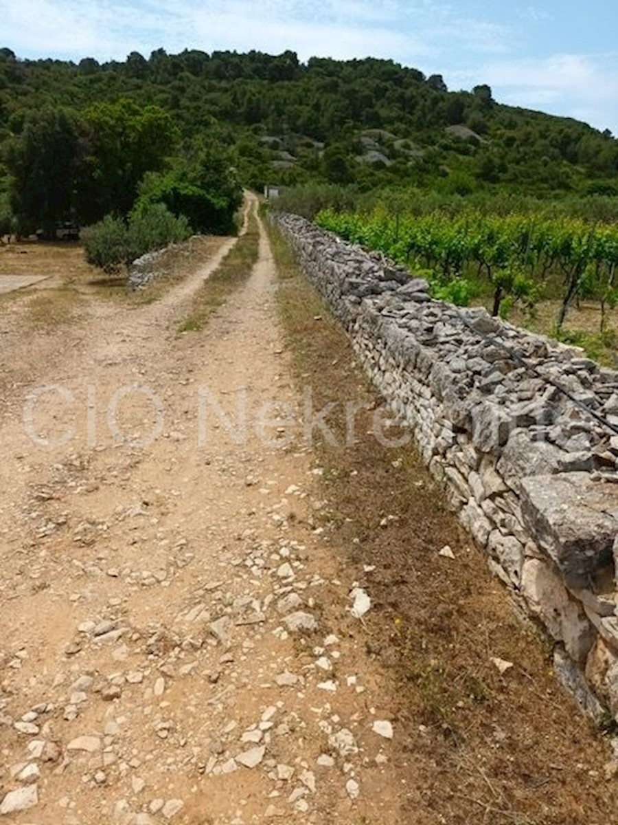 Parcela Naprodaj - SPLITSKO-DALMATINSKA Vis