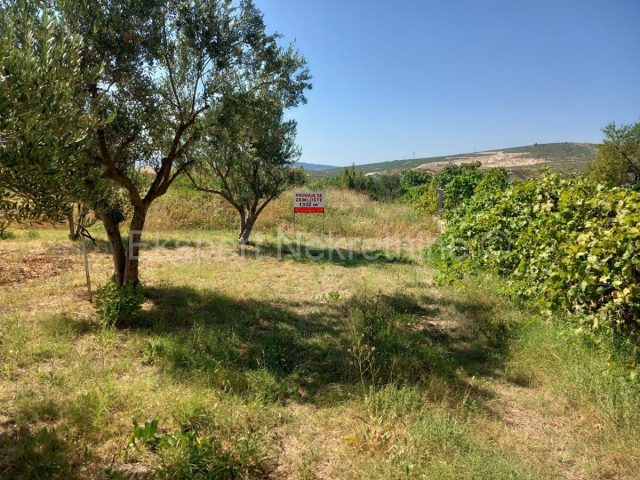 Land for sale 1332 m² – Plano