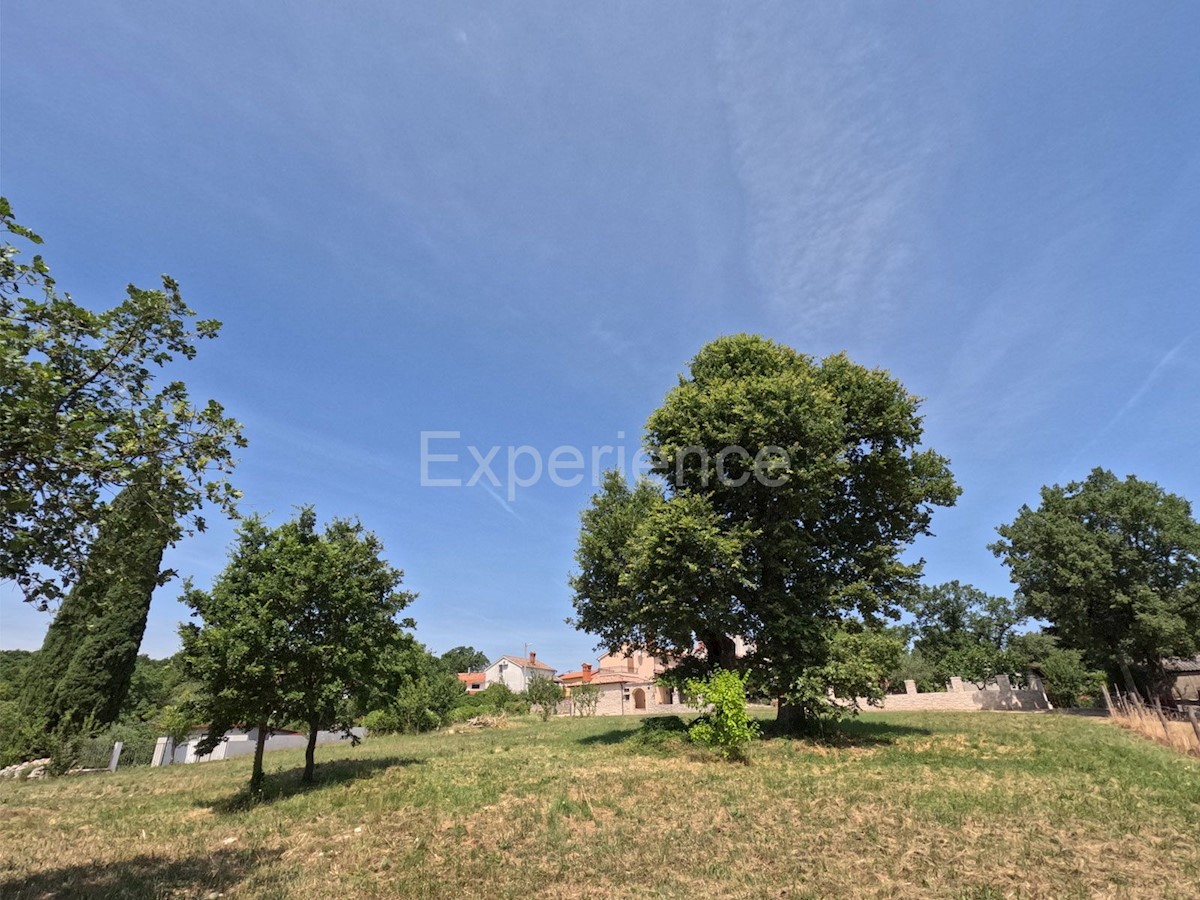 Land For sale - ISTARSKA MOTOVUN