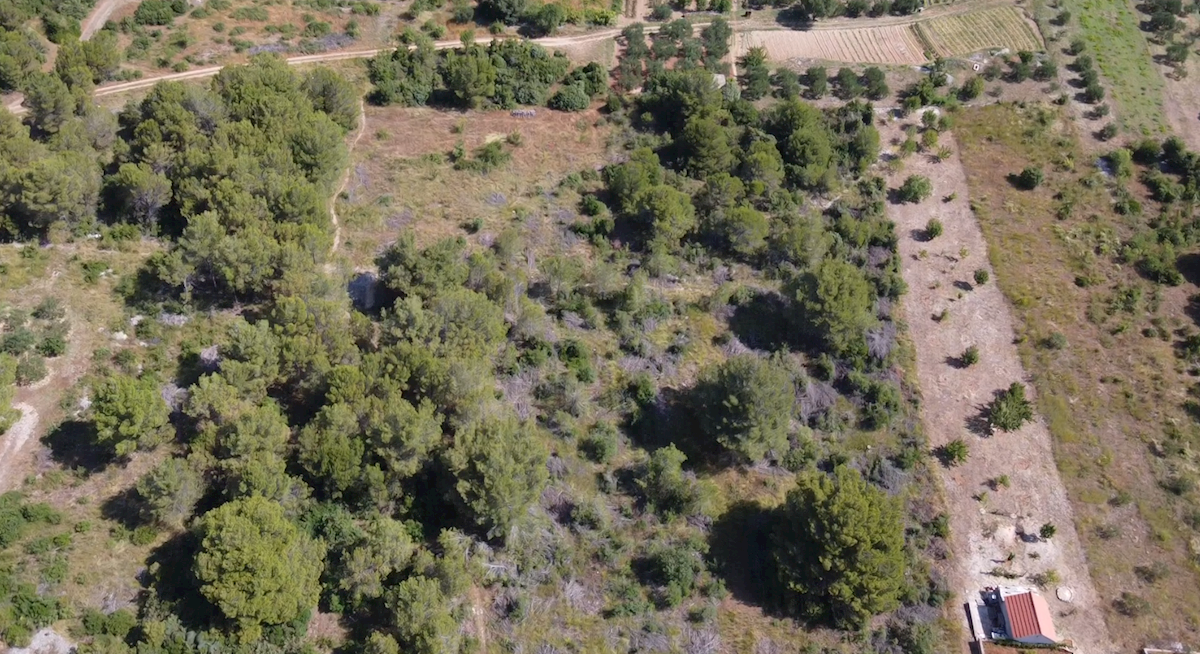 Terreno In vendita VRPOLJE