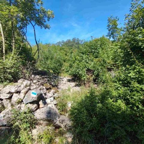 Terrain à vendre 1600 m² – Dobrinj