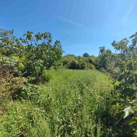 Zemljište na prodaju 1600 m² – Kras