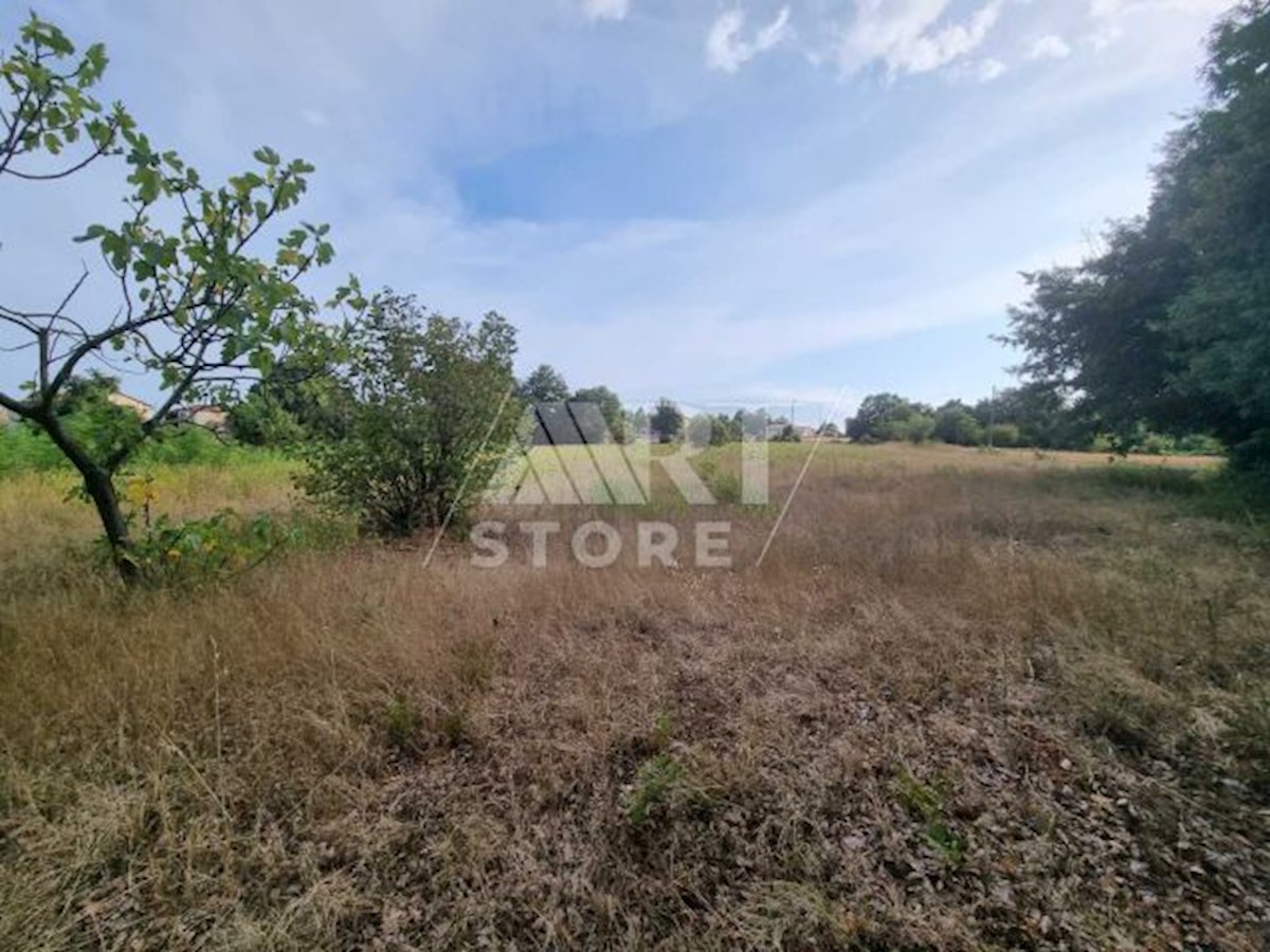 Land For sale - ISTARSKA BARBAN