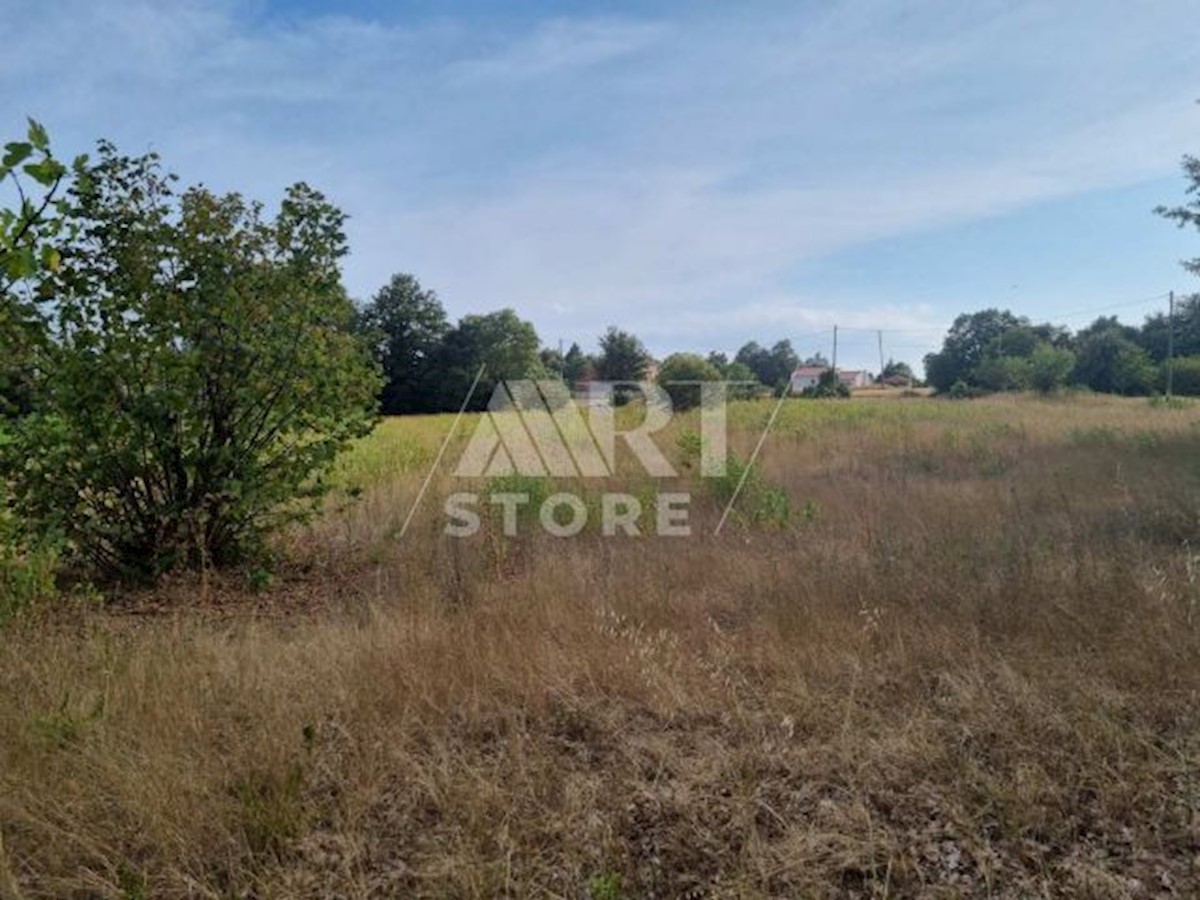 Land For sale - ISTARSKA BARBAN