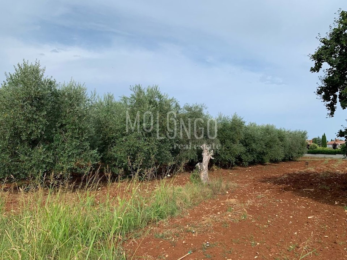 Terreno In vendita - Istarska Poreč - foto 1/7
