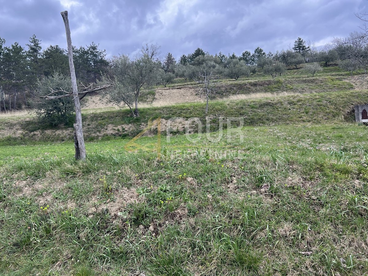 Land For sale - ISTARSKA BUZET