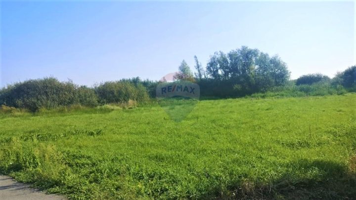 Parcela na predaj 6331 m² – Kršete