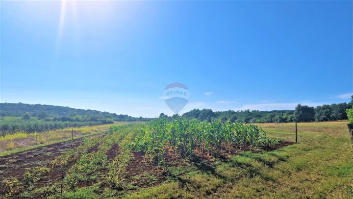 Parcela Naprodaj - Istarska Buje - foto 2/4