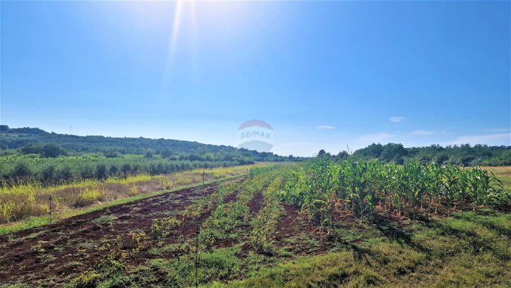 Parcela Naprodaj - Istarska Buje - foto 4/4