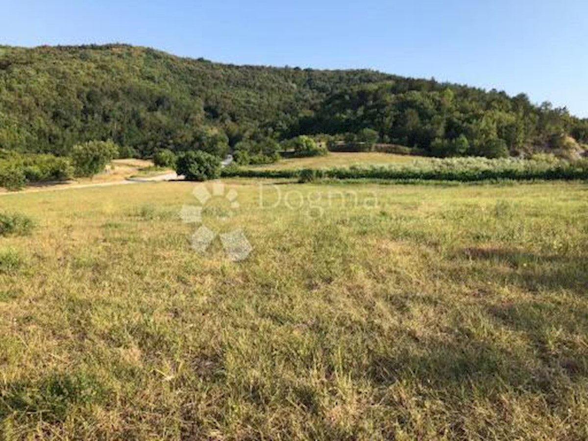 Land For sale - ISTARSKA PAZIN