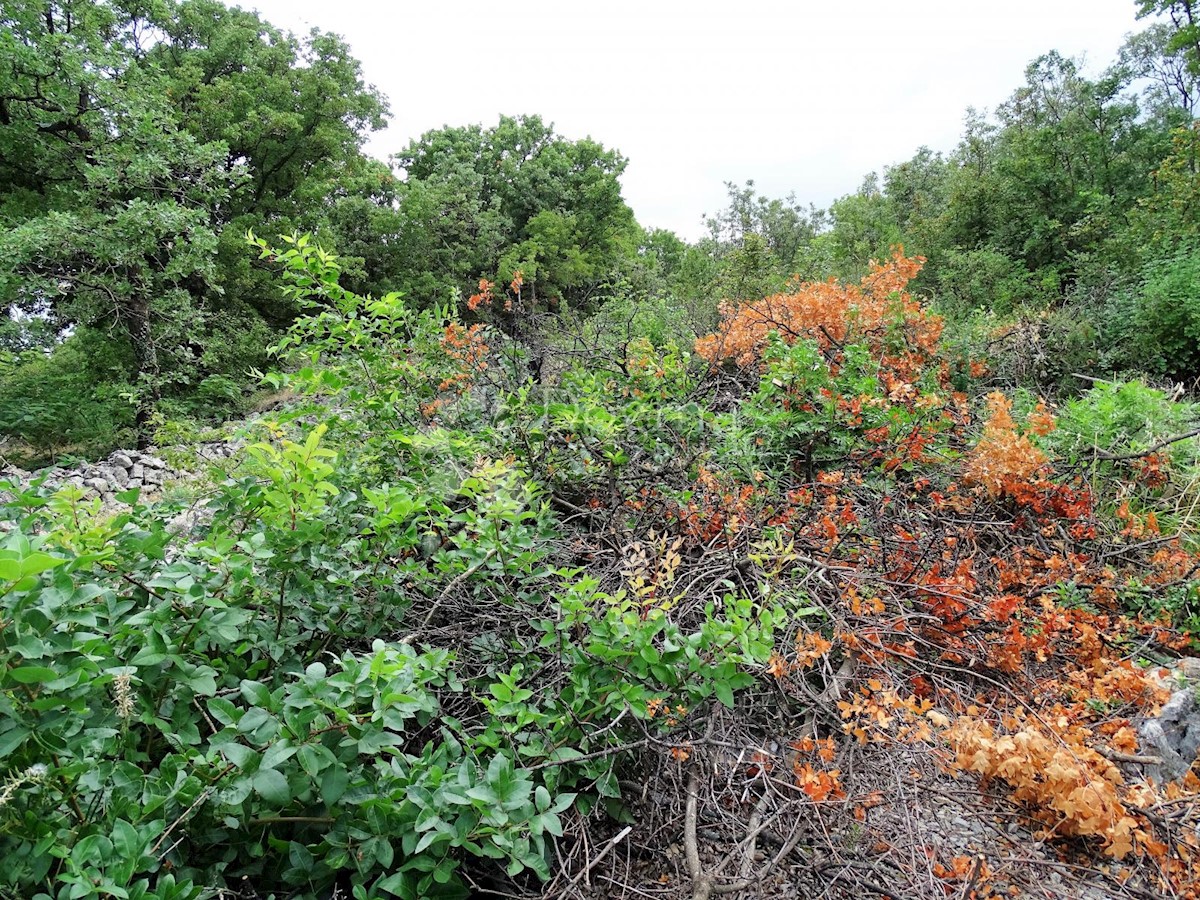 Terreno In vendita - PRIMORSKO-GORANSKA KRALJEVICA