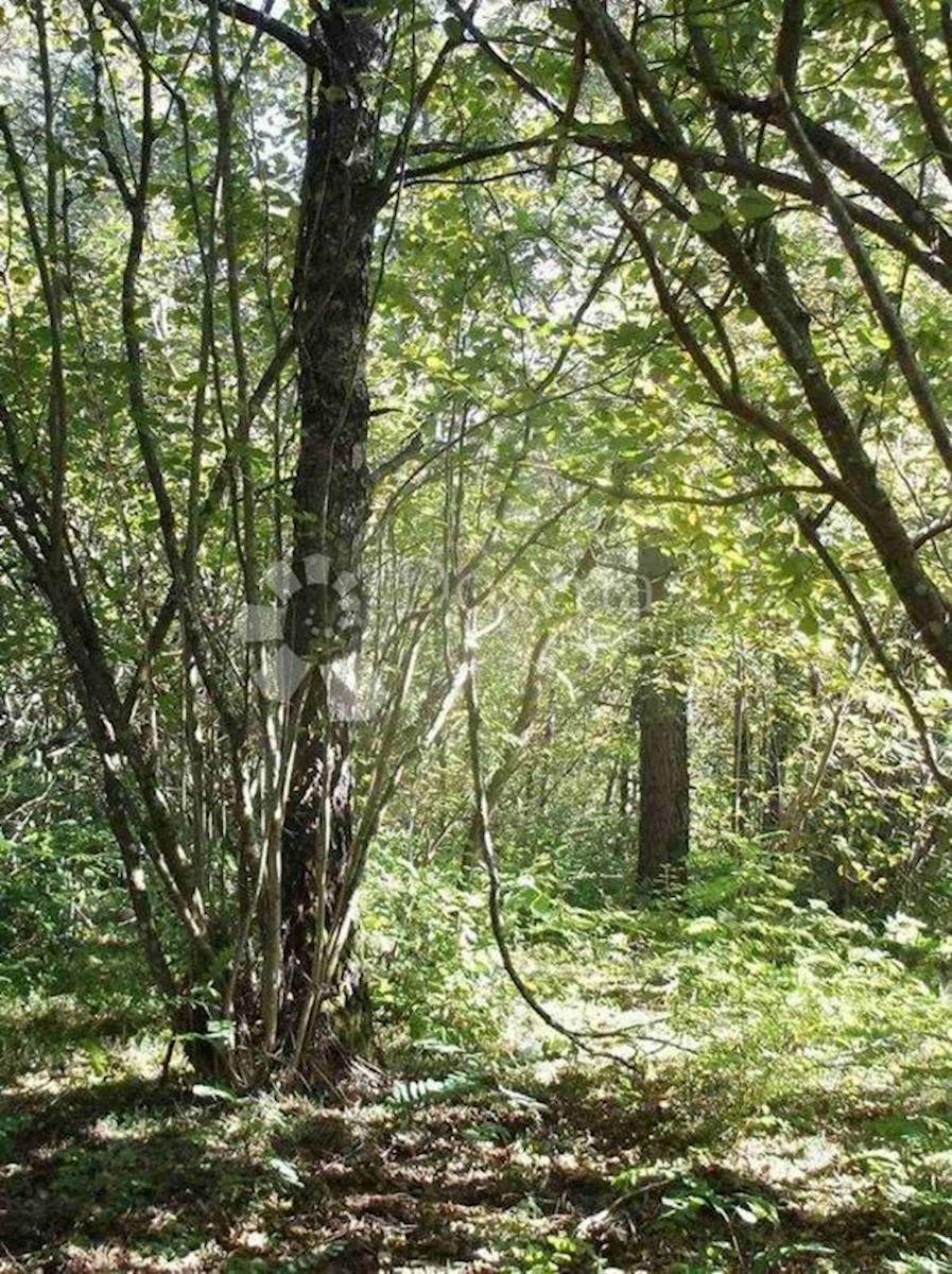 Terreno In vendita - LIČKO-SENJSKA GOSPIĆ