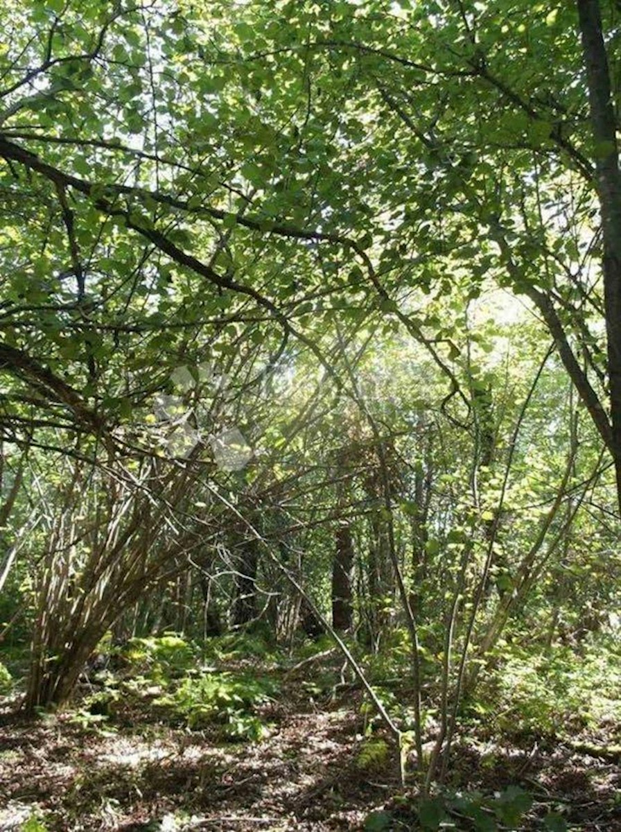 Terreno In vendita - LIČKO-SENJSKA GOSPIĆ