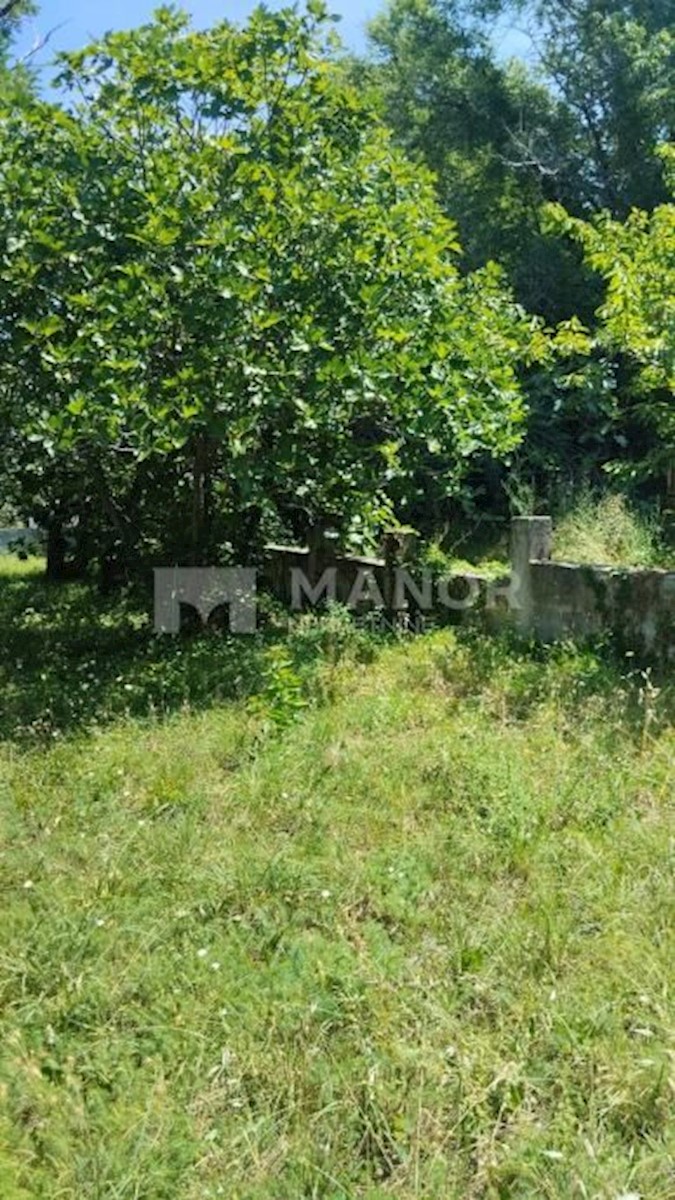 Land For sale ŠILO