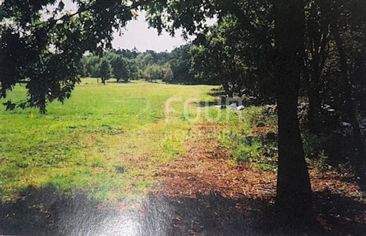Zemljište na prodaju 29400 m² – Poreč
