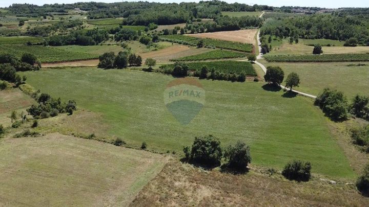 Land for sale 11290 m² – Vižinada