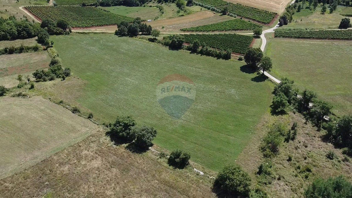 Land For sale - ISTARSKA VIŽINADA