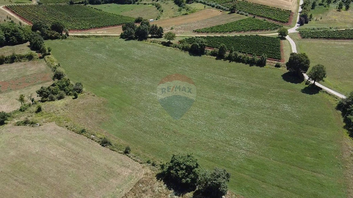 Parcela Naprodaj - ISTARSKA Vižinada