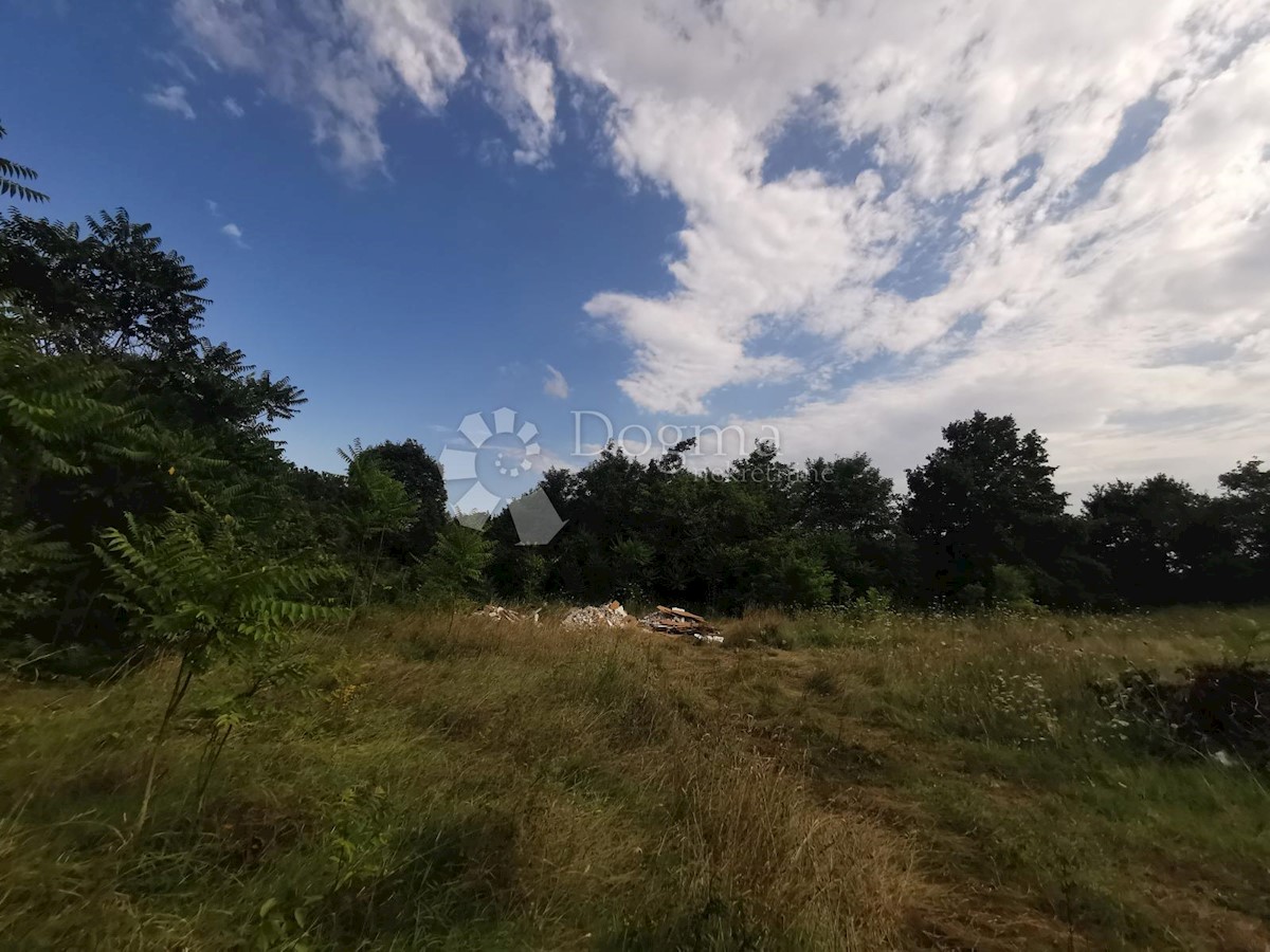 Land For sale - Istarska Tinjan - foto 2/2