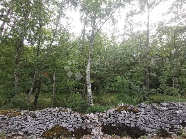 Terreno in vendita 11979 m² – Kringa