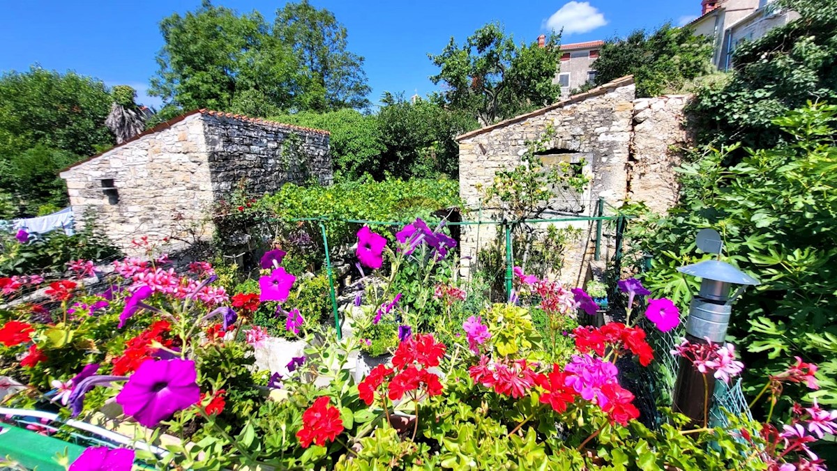 Casa In vendita - ISTARSKA BUJE