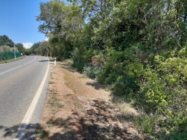 Parcela na predaj 5510 m² – Kanfanar