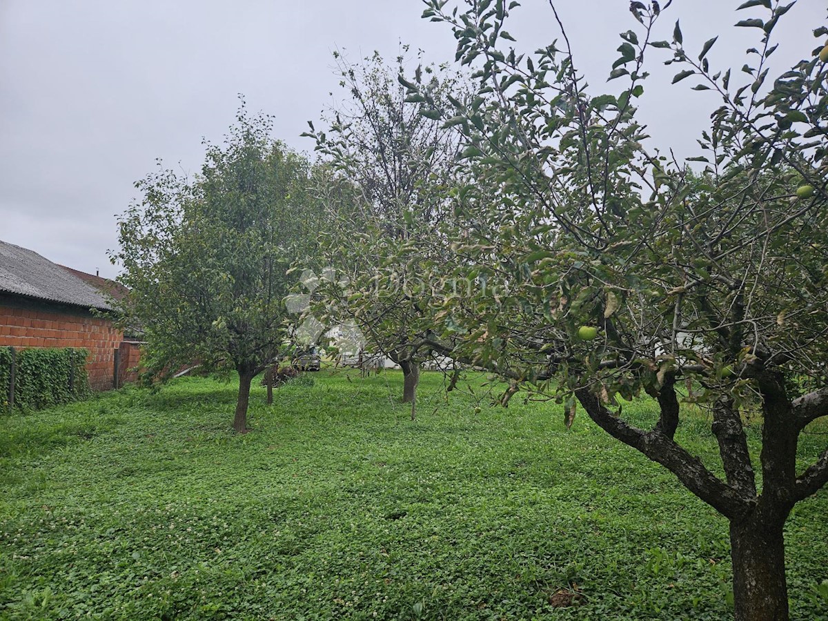 Haus Zu verkaufen - VARAŽDINSKA LUDBREG