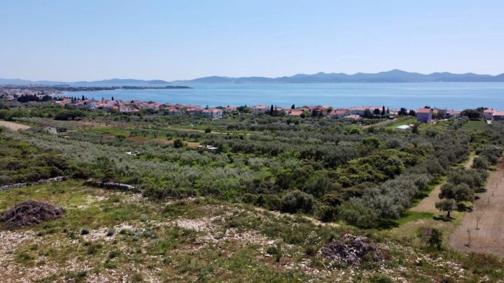 Land for sale 2891 m² – Diklo
