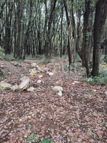 Parcela Naprodaj - Primorsko-goranska Krk - foto 3/3