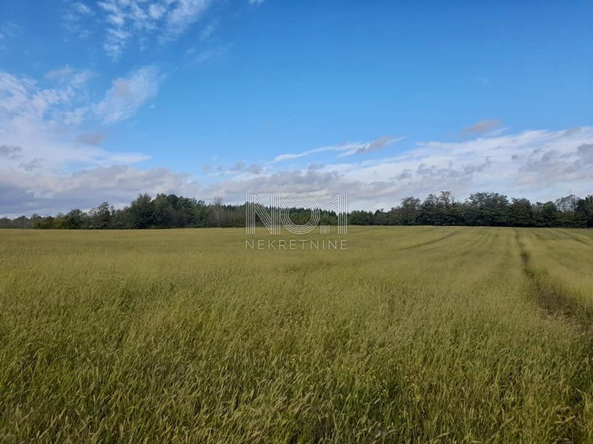 Pozemok Na predaj - ISTARSKA VIŽINADA