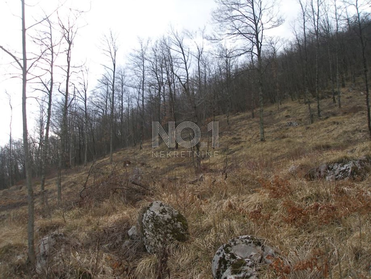 Land For sale - PRIMORSKO-GORANSKA OPATIJA