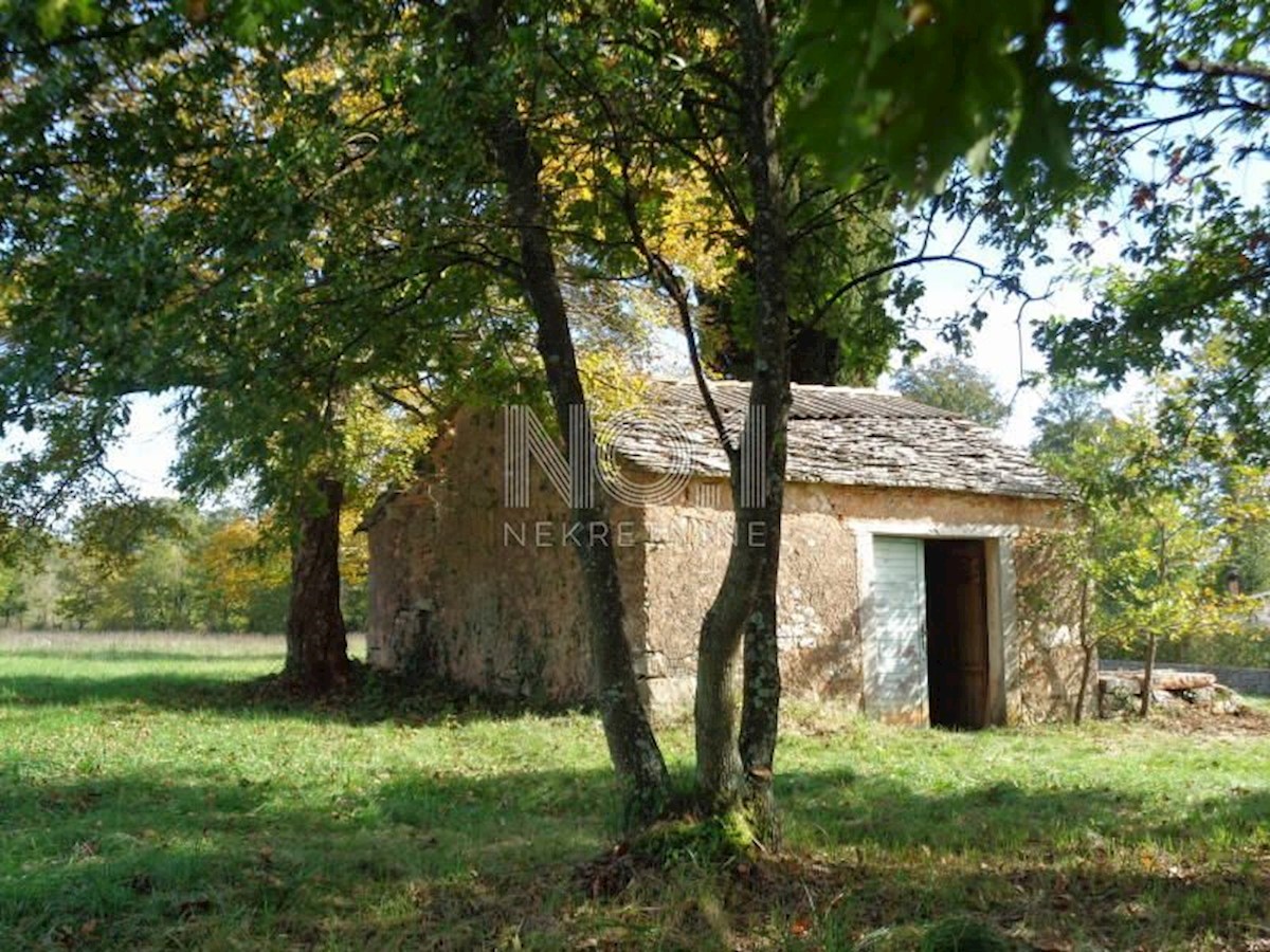 Pozemok Na predaj - ISTARSKA ŽMINJ