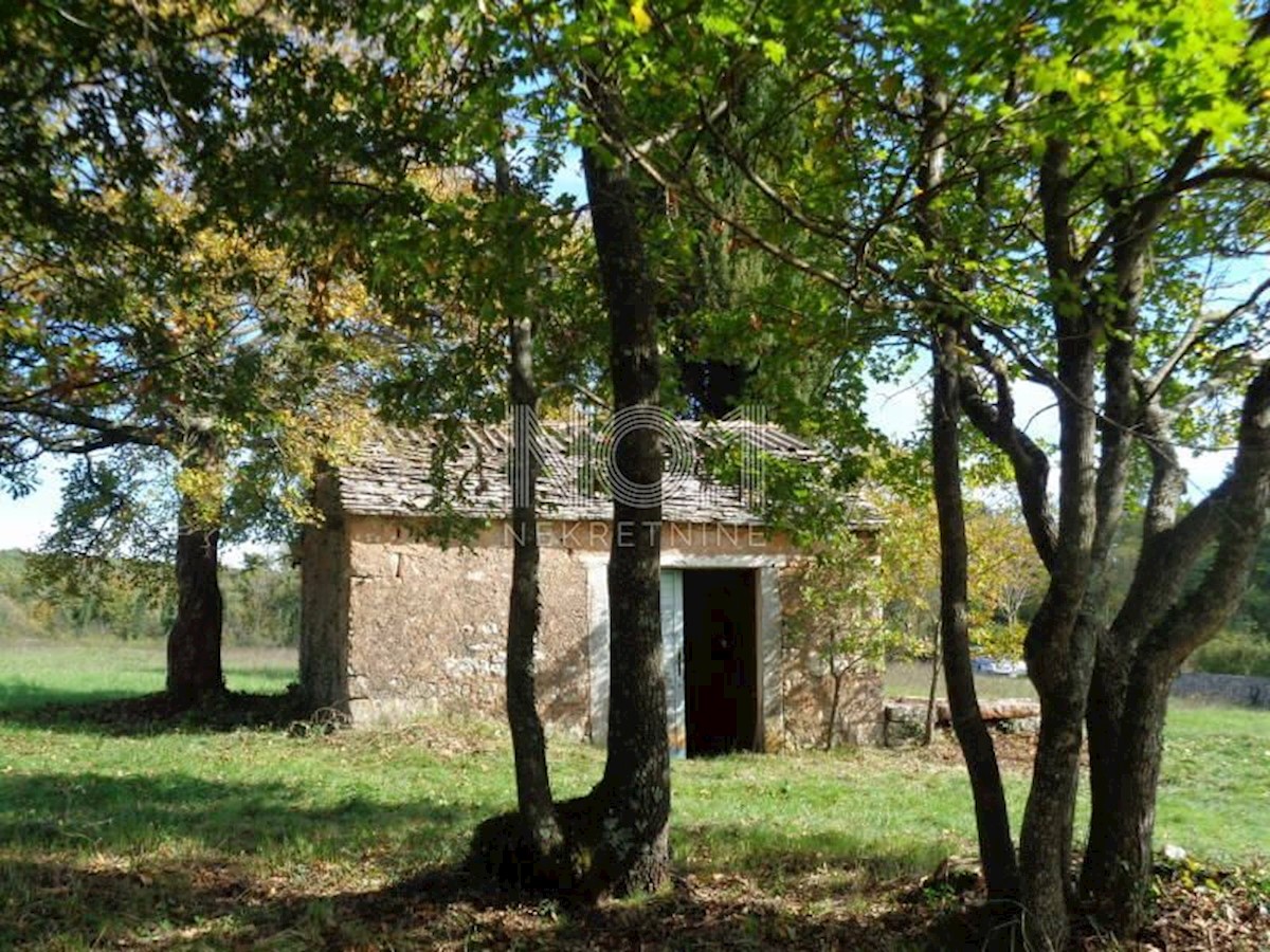 Pozemok Na predaj - ISTARSKA ŽMINJ