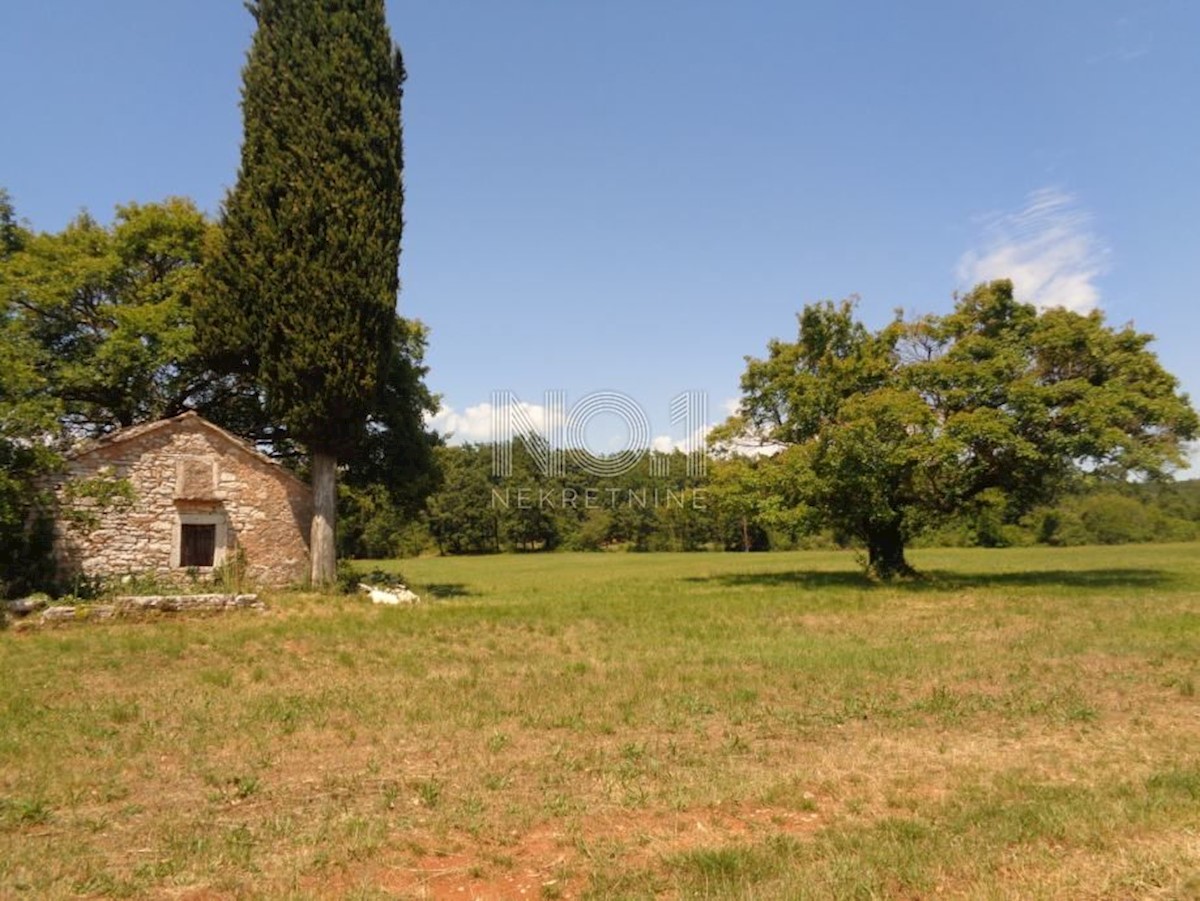 Pozemok Na predaj - ISTARSKA ŽMINJ