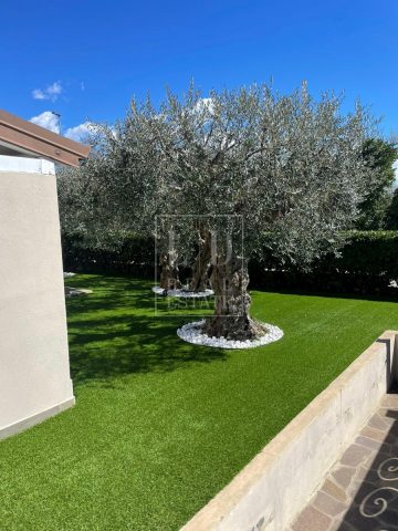 Casa In vendita - Istarska Novigrad - foto 4/41