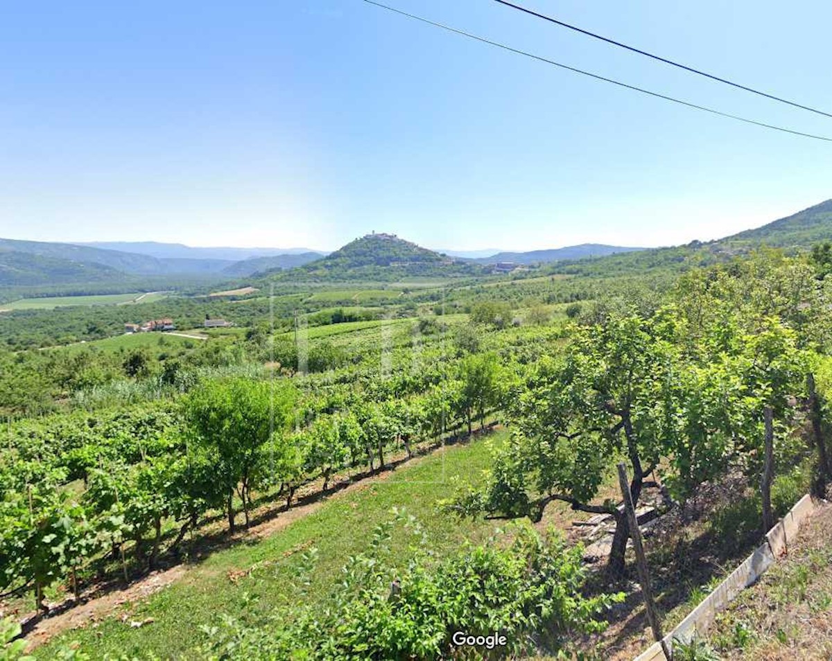 Parcela Na predaj - Istarska Motovun - foto 1/1
