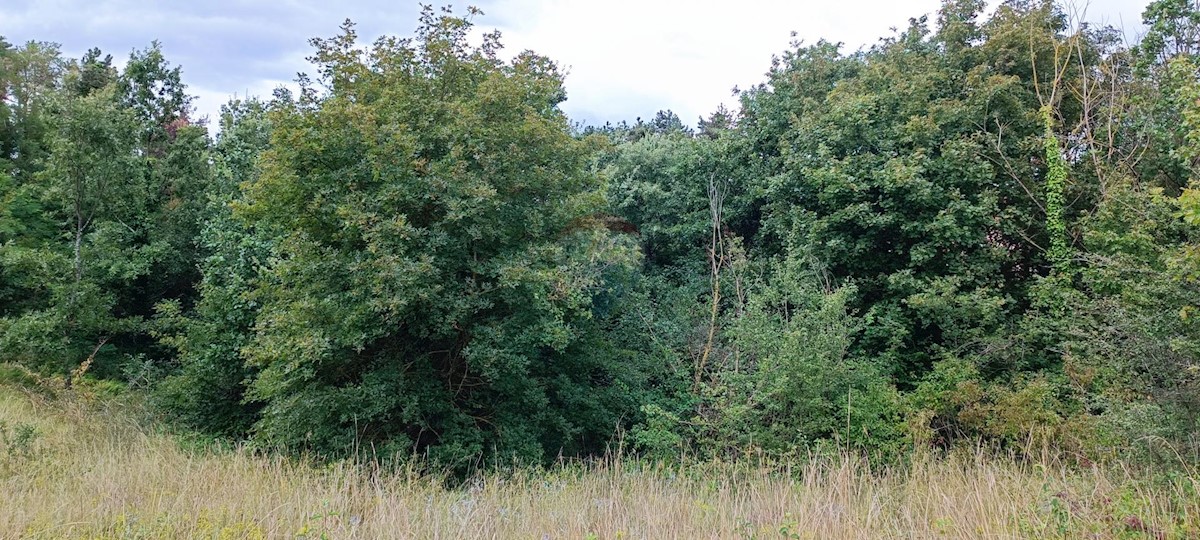 Działka Na sprzedaż - ISTARSKA ŽMINJ