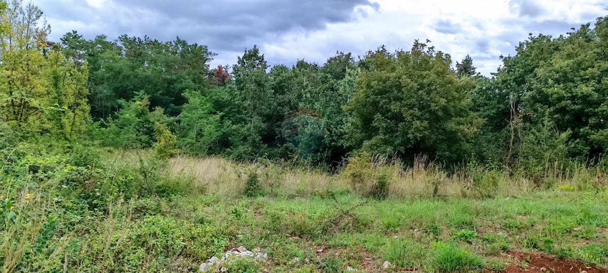 Terreno In vendita - ISTARSKA ŽMINJ