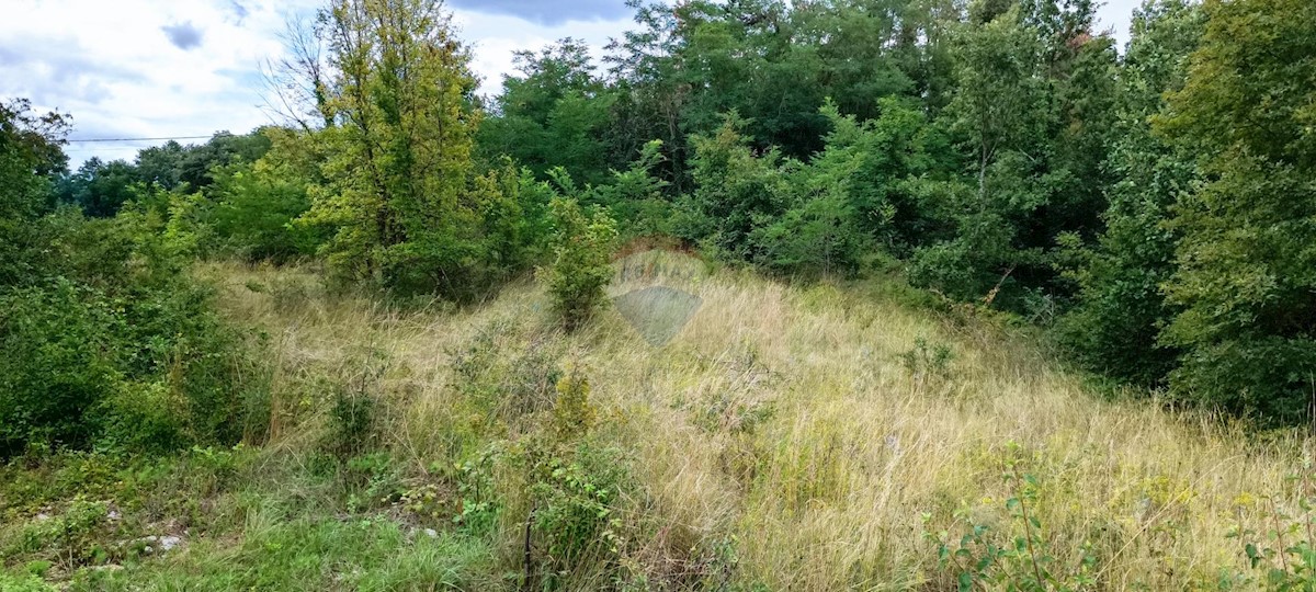 Terreno In vendita - ISTARSKA ŽMINJ