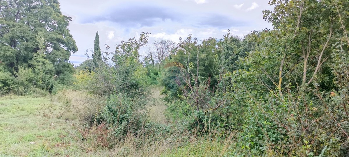 Land For sale - ISTARSKA ŽMINJ