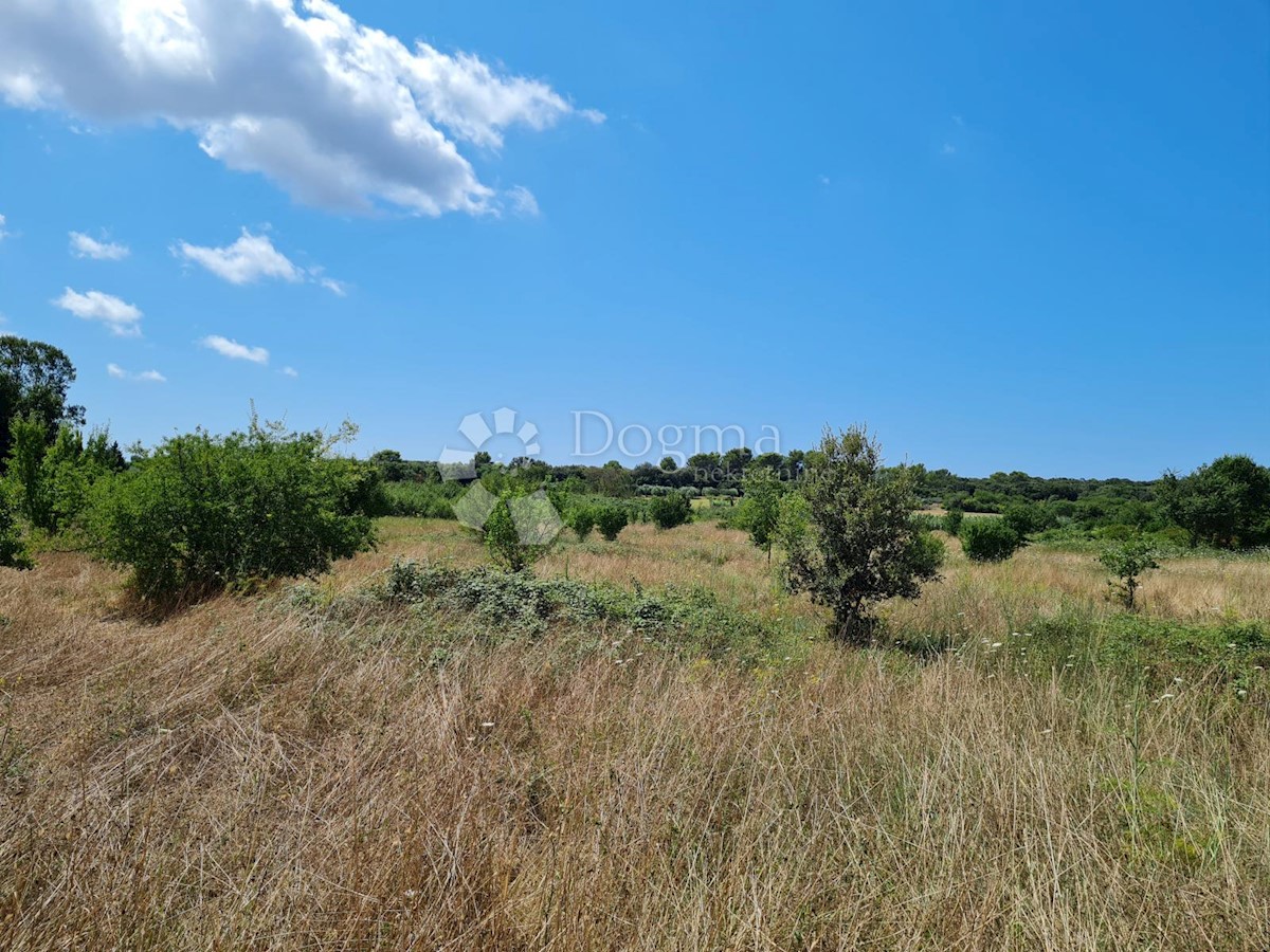 Terreno In vendita - ISTARSKA PULA