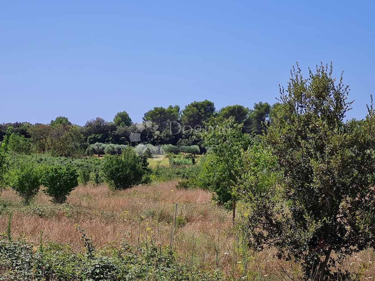 Terreno In vendita - ISTARSKA PULA